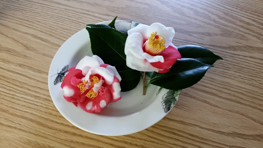 2015-01-02 12.07.49.jpg